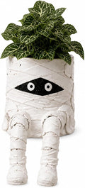 Halloween Hanging Legs Planter Planter,Whimsical Character Succulent Pot